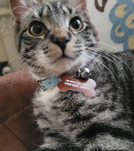 Load image into Gallery viewer, Can't Have Nice Things Dog Tag