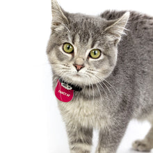 Load image into Gallery viewer, Her Highness Tag