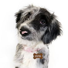 Load image into Gallery viewer, Can't Have Nice Things Dog Tag
