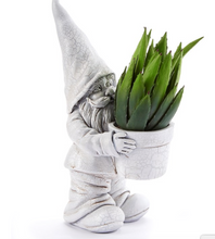 Load image into Gallery viewer, Standing Gnome Figurine w/Planter
