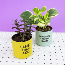 Load image into Gallery viewer, Plant One On Me Planter
